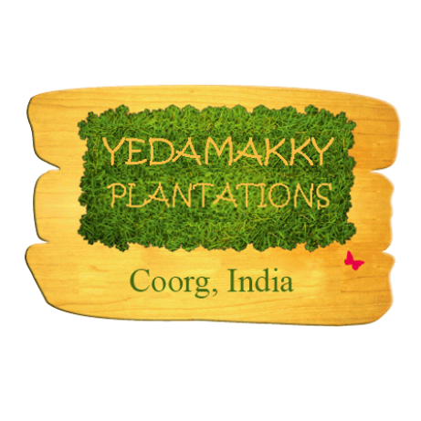 Yedamakky Plantations