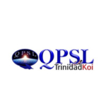 QPSL Ltd