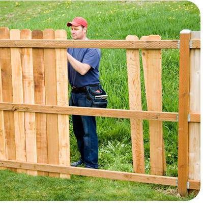 Wood Fence  Staining