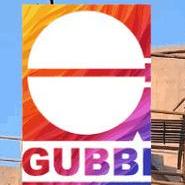 Gubbi Civil