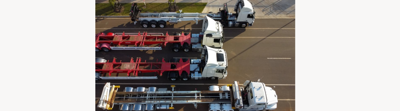 Bluelink Transport