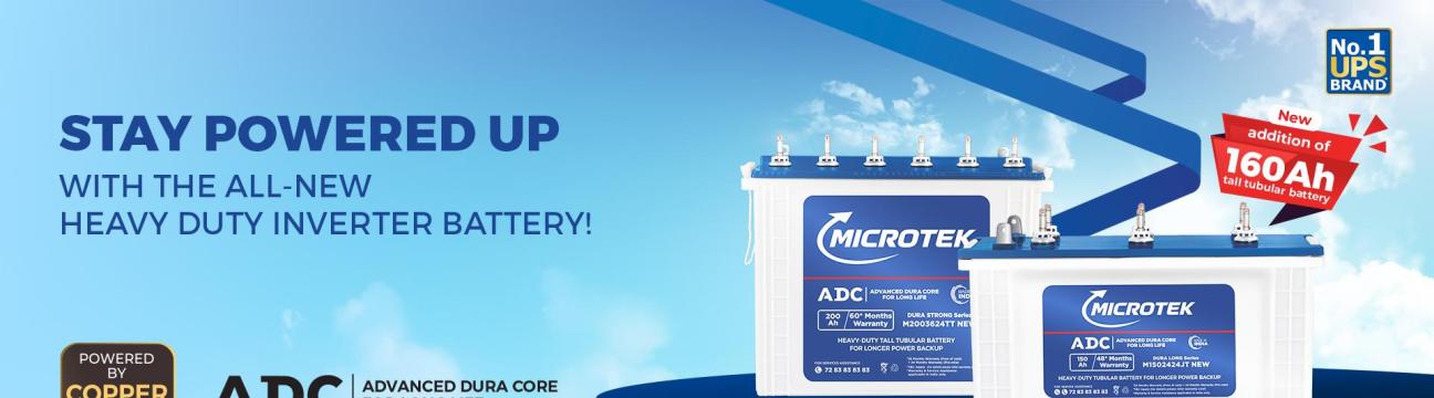 Microtek India