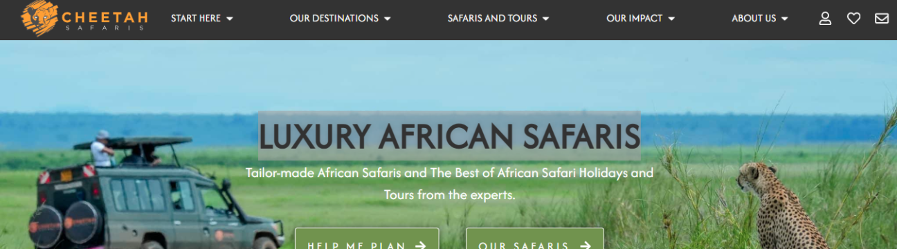 Cheetah Safaris