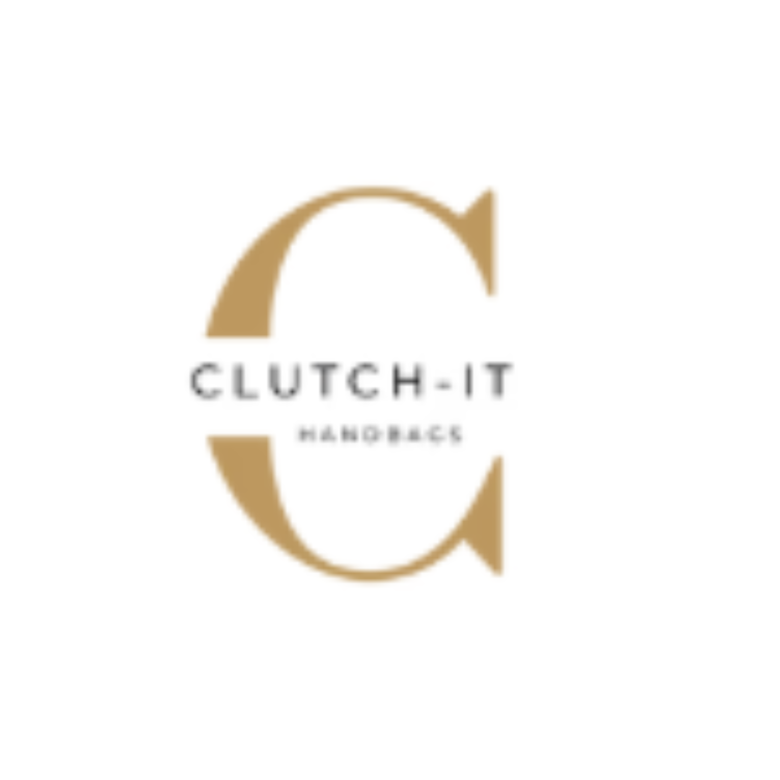 Clutch It  Handbag