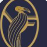Verbatim  Financial