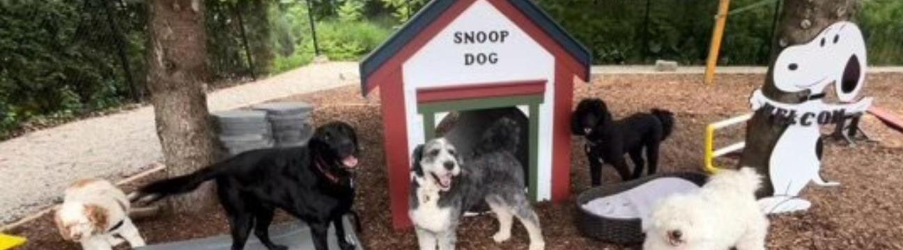 Happy Tails  Playhouse