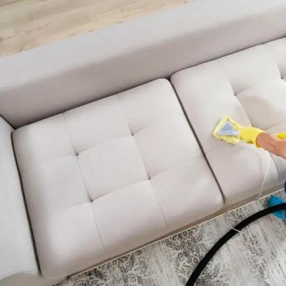 Fresh Couch Cleaning 3