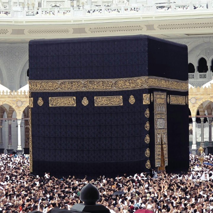 Taqwa Tours