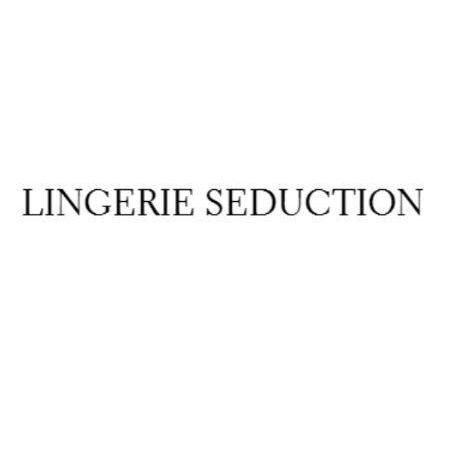 Lingerie Seduction