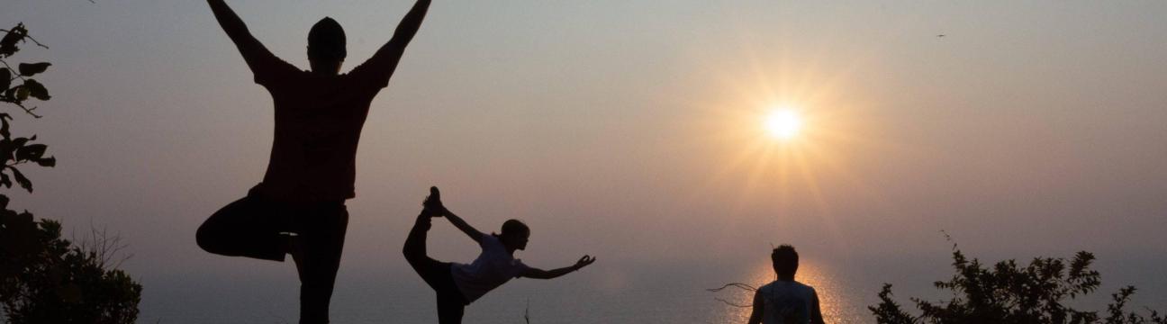 India Yoga School