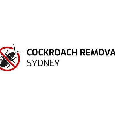 Cockroach  Removal 