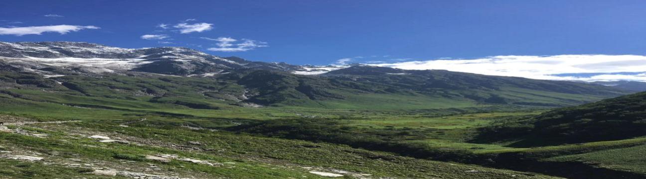 Valleyof flowersIndia