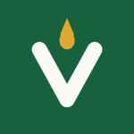 Valleyof flowersIndia