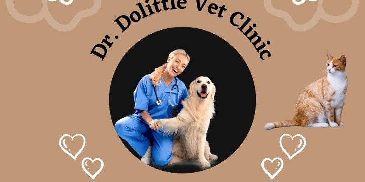 Expert Veterinary Care in Dubai – Dr. Dolittle Vet Clinic