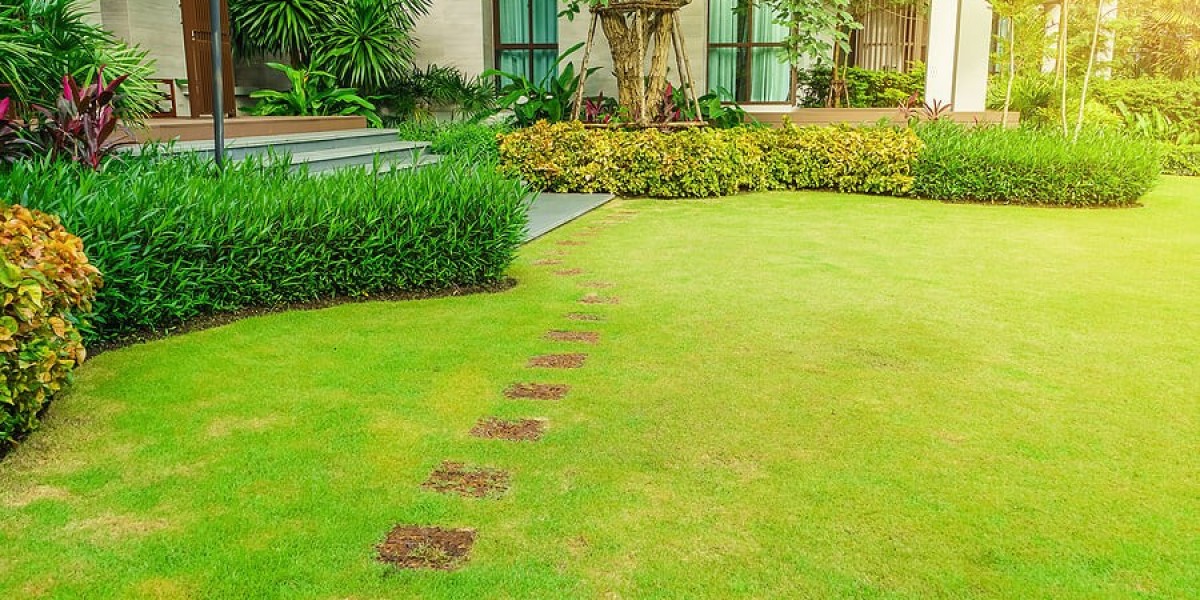 Landscaping Design Houston,TX