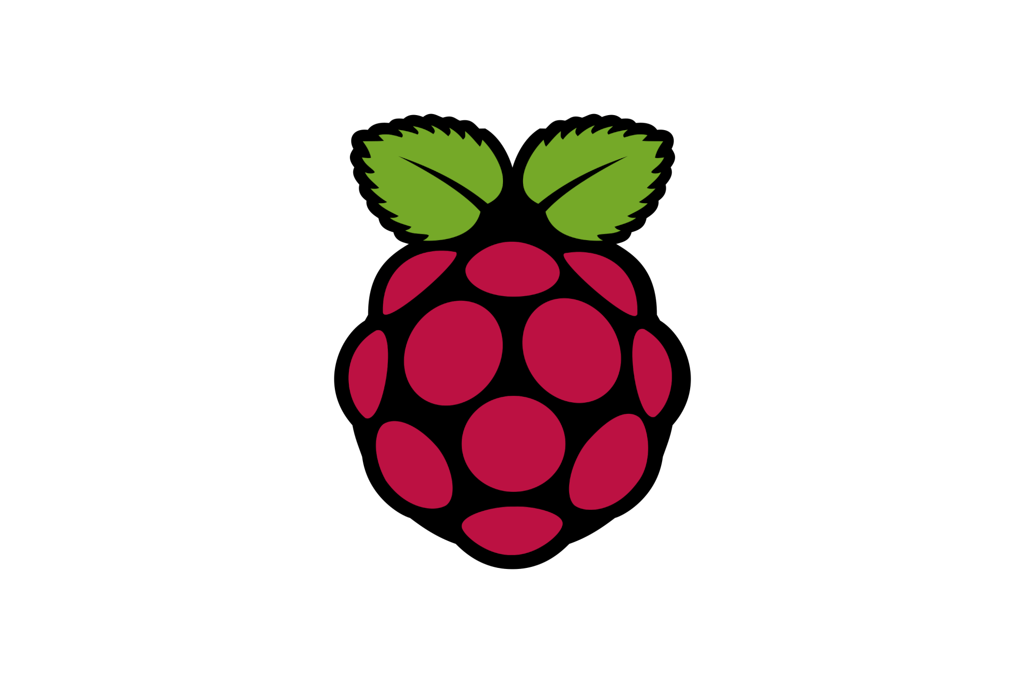 Hire Raspberry Pi Developers | Expert Raspberry Pi Coder for Hire