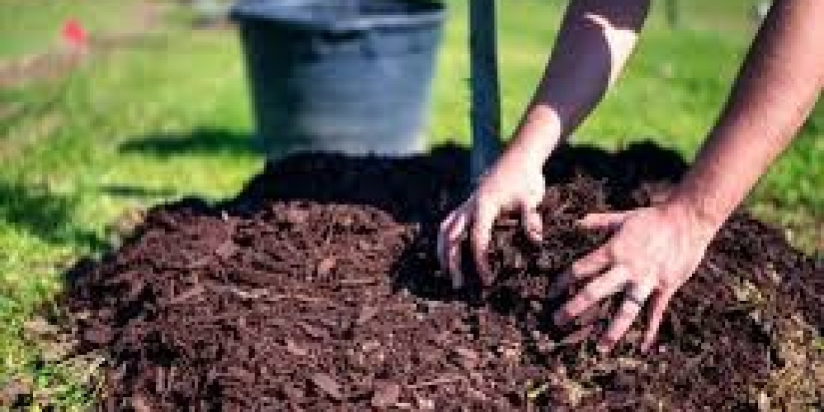 Why Soil and Mulch Are Essential for Healthy Landscaping in Sparks, NV