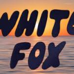 White Fox Profile Picture