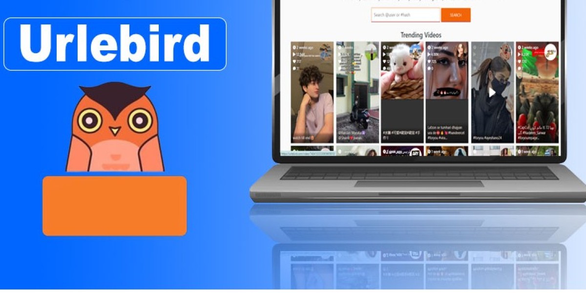 Is Urlebird Safe? What You Need to Know Before Using This TikTok Viewer