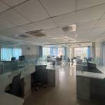 Reeltor Profile Picture