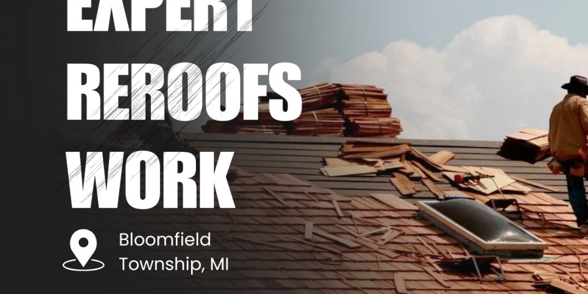 Where Expertise Meets Integrity in Every Inspection