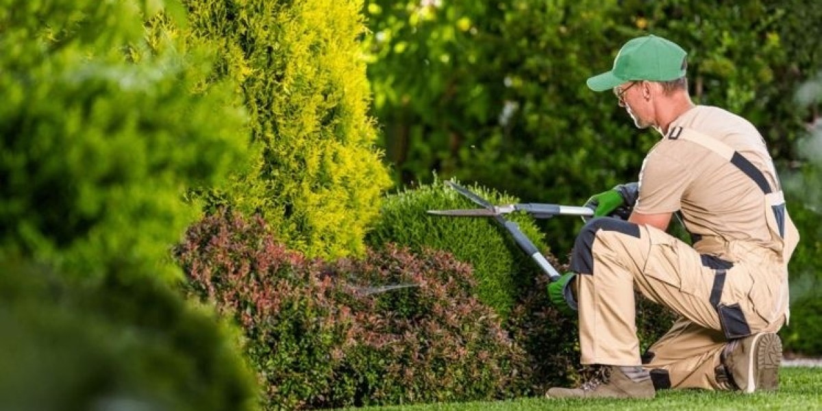 Why Professional Lawn Care Service Is the Key to a Beautiful Staten Island NY Landscape