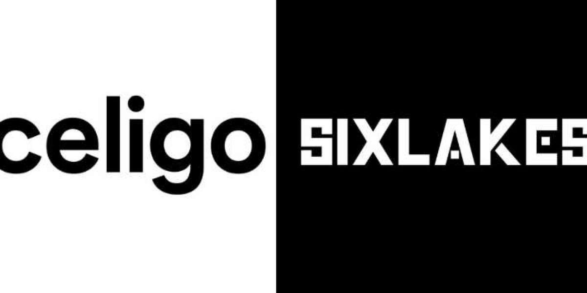 Celigo ShipStation Integration | SixLakes Consulting