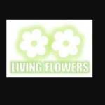 living flowers Profile Picture