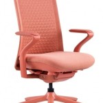 Lark Ship Profile Picture