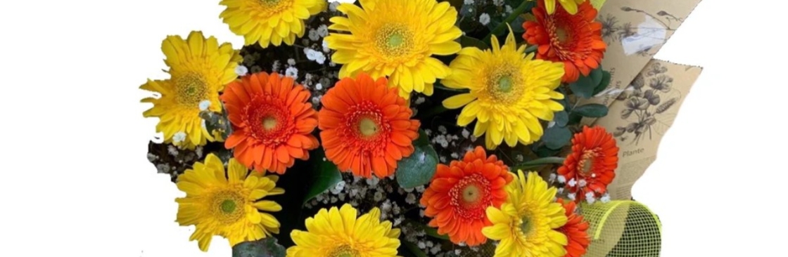 living flowers Cover Image