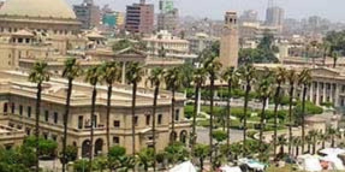 Parents’ honest checklist before allowing their child to Study mbbs in Egypt