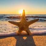 amlkug amlkug Profile Picture