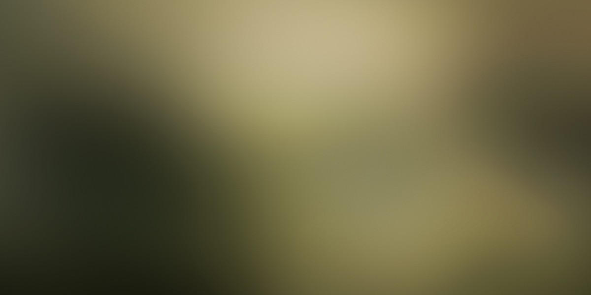 The Function of IRA Gold Custodians In Valuable Metals Funding