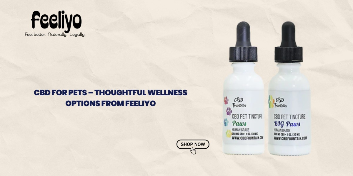 CBD for Pets – Thoughtful Wellness Options from Feeliyo