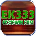 EK333WIN Profile Picture