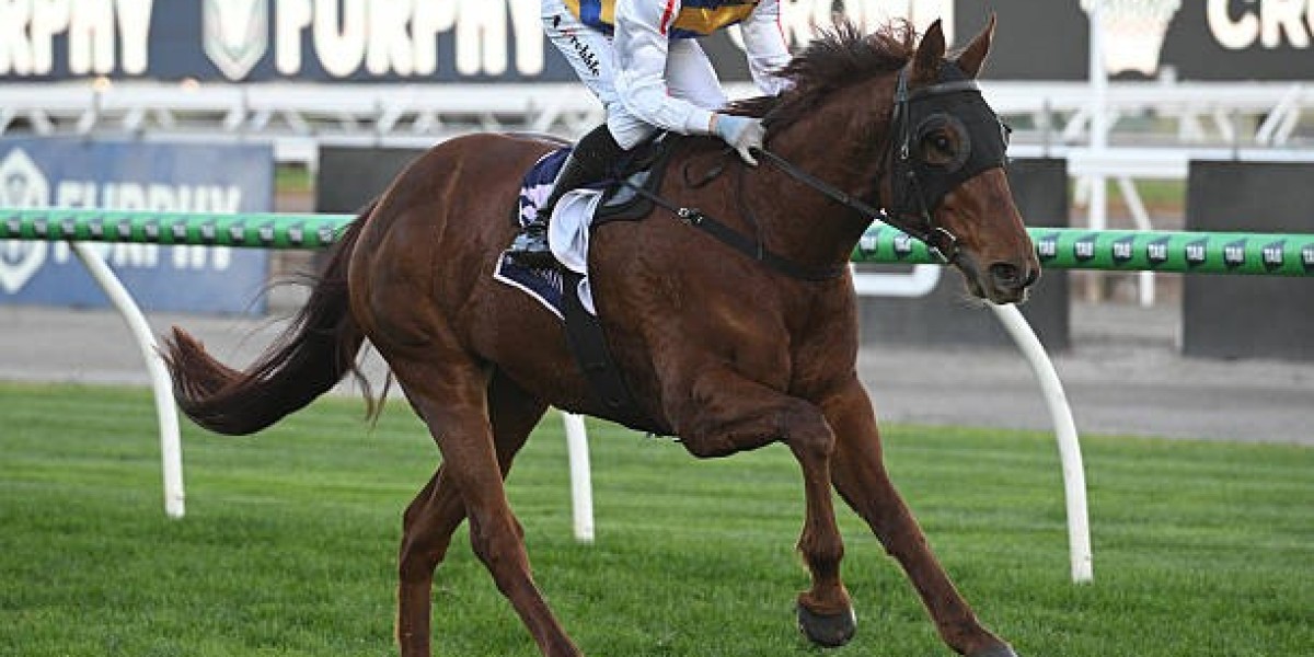 Adelaide v Port Adelaide: A Deep Dive into One of Australia’s Fiercest AFL Rivalries