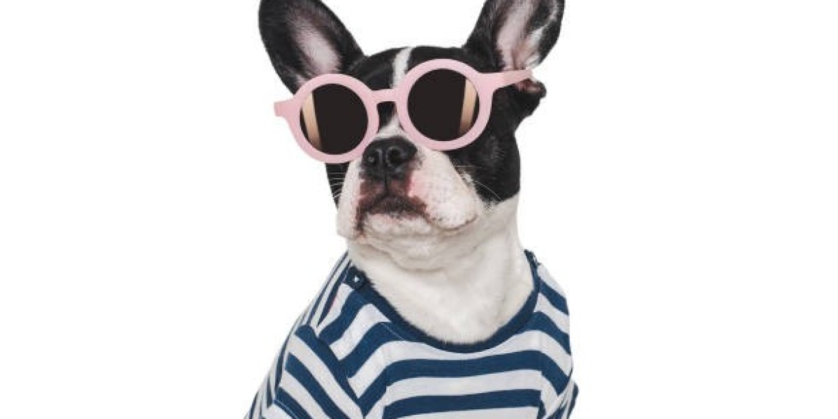 How to Find the Perfect Fit in Dog Clothes for Giant Breeds