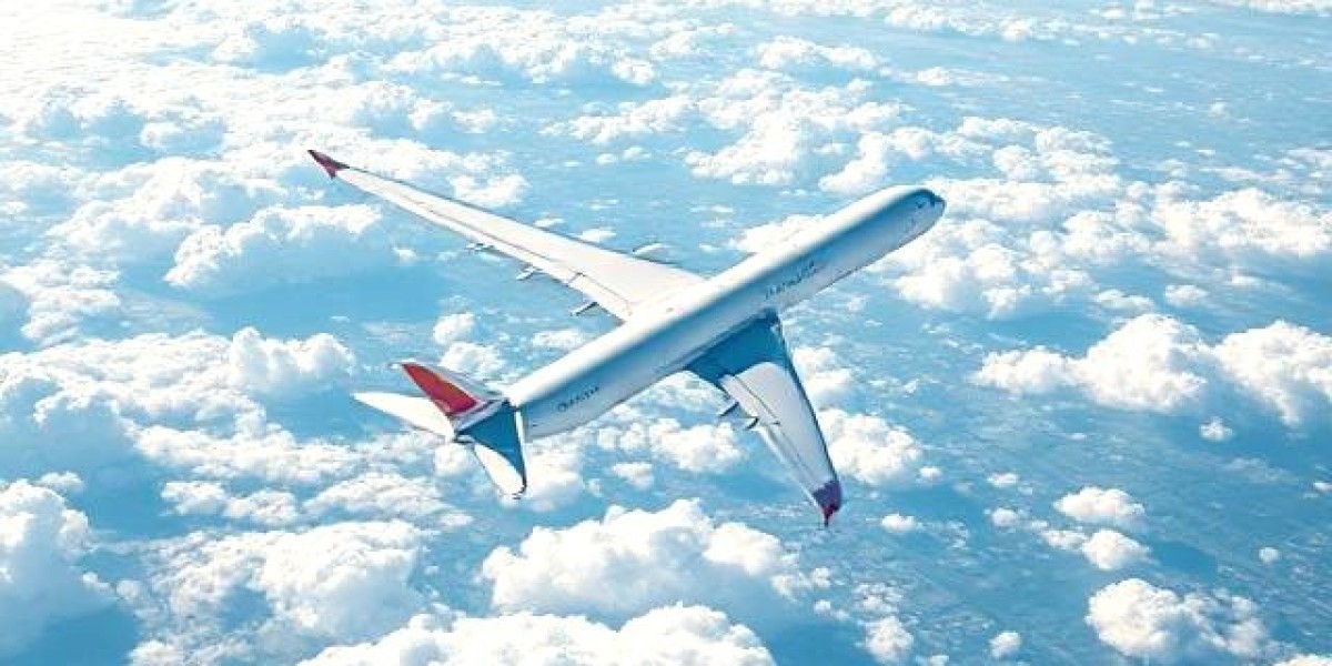 Apply Senior Citizen Discounts Air India Booking Phone Number New York Airport