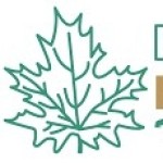 Divorce Mediation Group Profile Picture