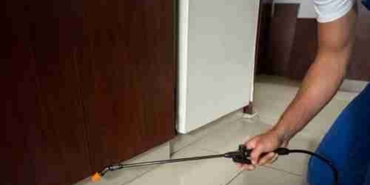 Your Trusted Guide to Safe & Effective Pest Control in Melbourne