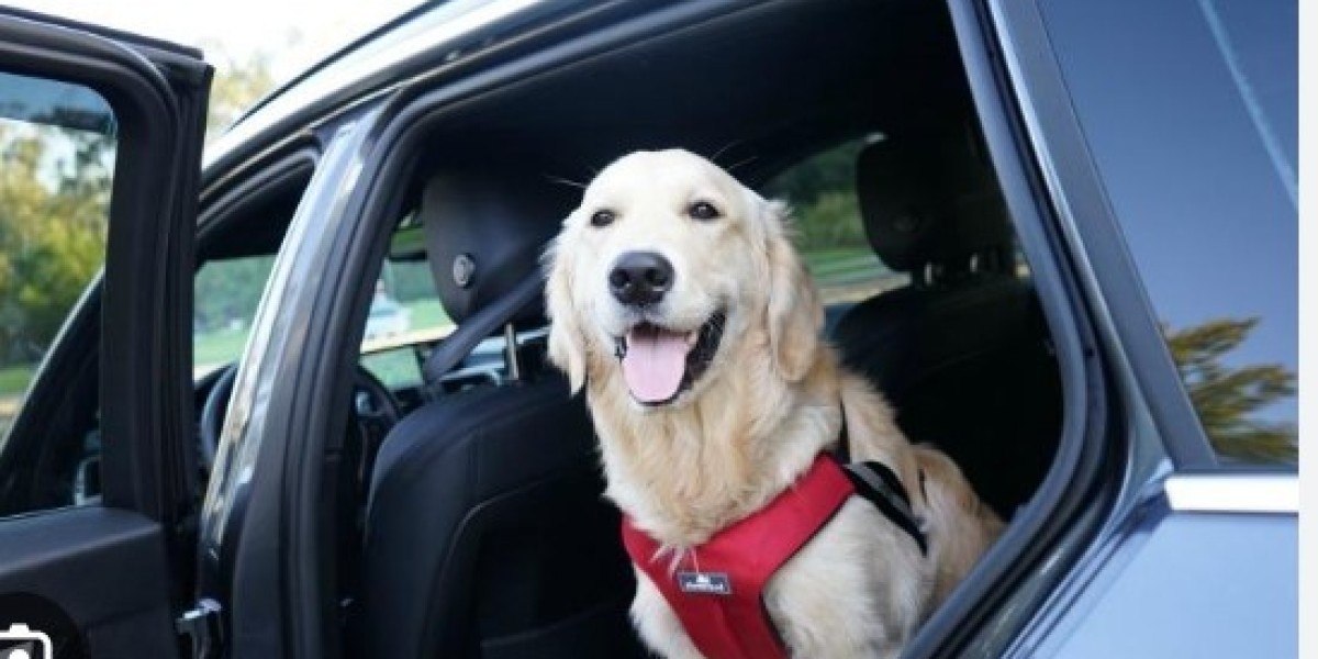 How Much Does Pet Transport Cost?