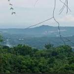 John Mark Profile Picture