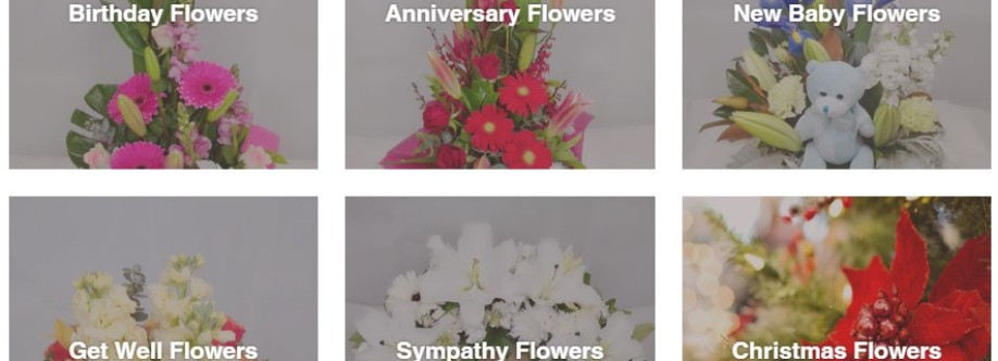 blossomof wyndham Cover Image