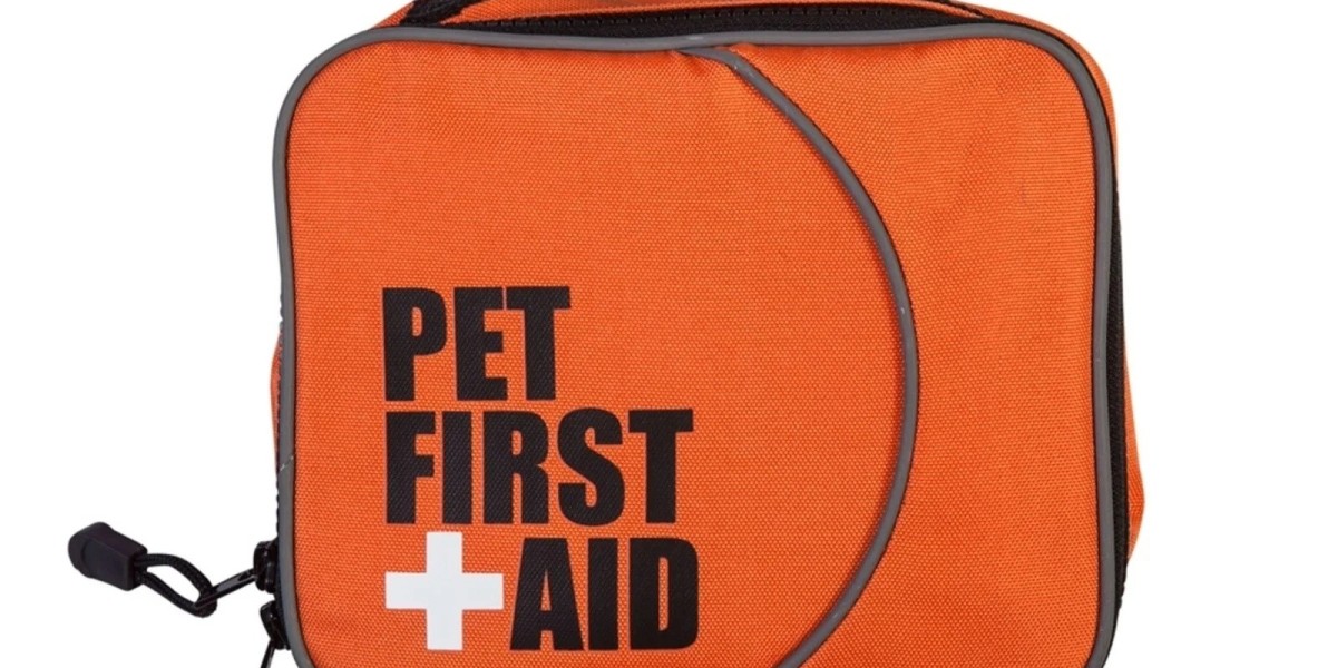 Compact First Aid Kit Solutions for Every Emergency Situation