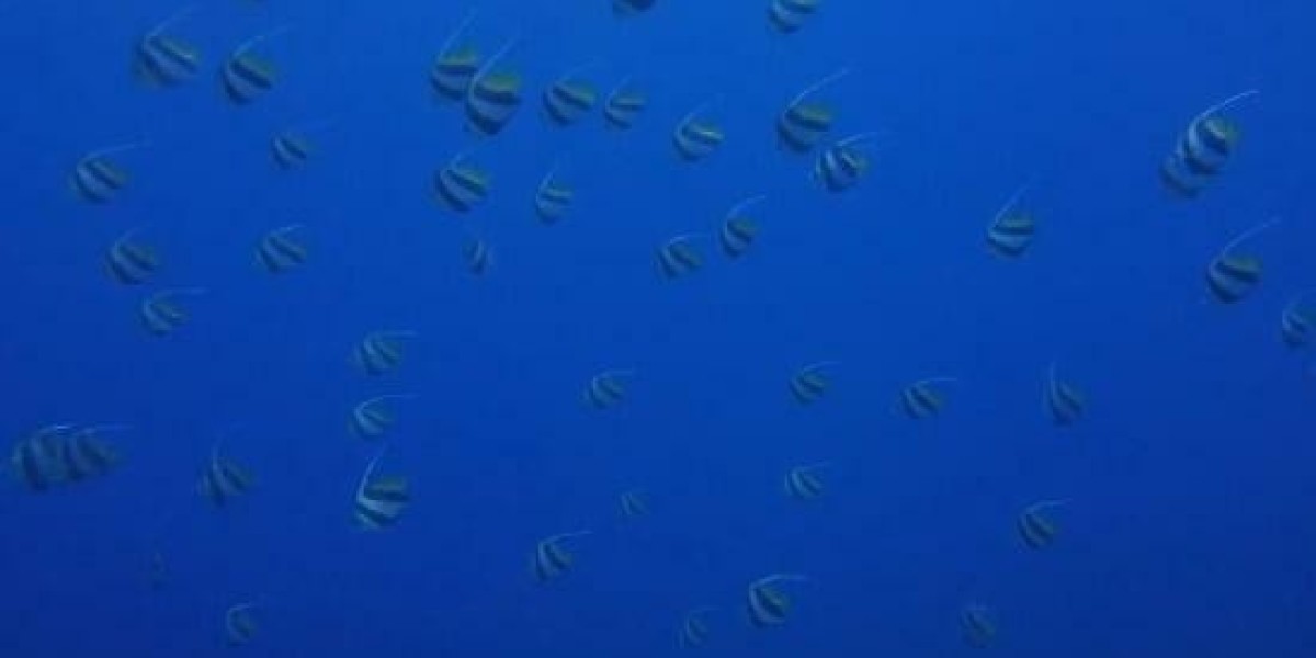 December 19, 2025: Definitive EPL Matchday 17 Predictions For Today's Thrilling Fixtures