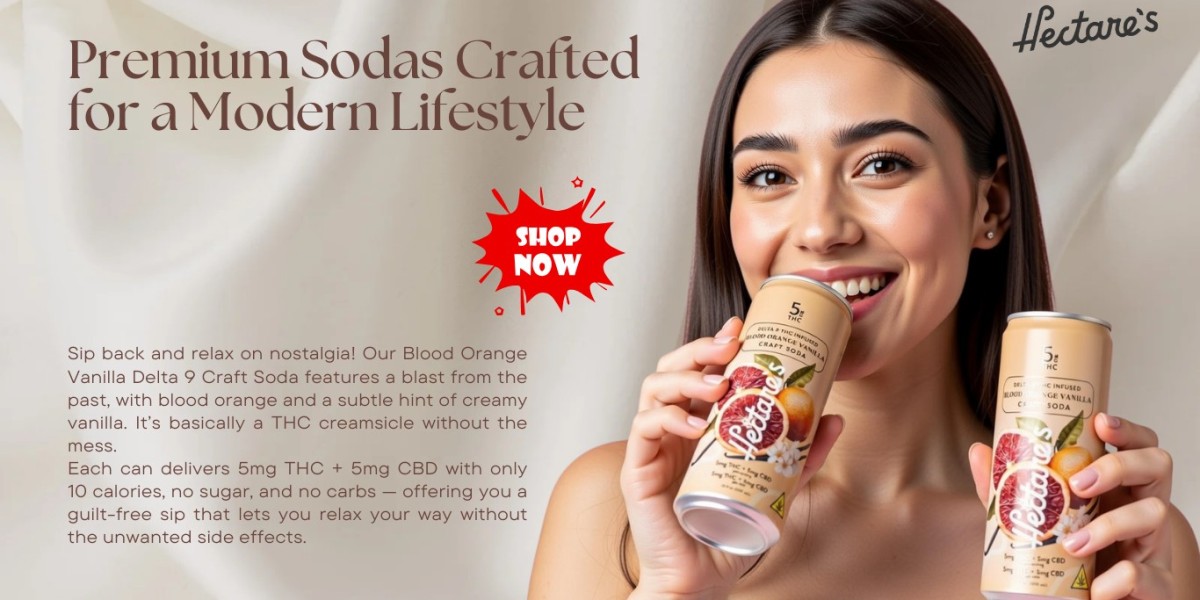 Premium Sodas Crafted for a Modern Lifestyle