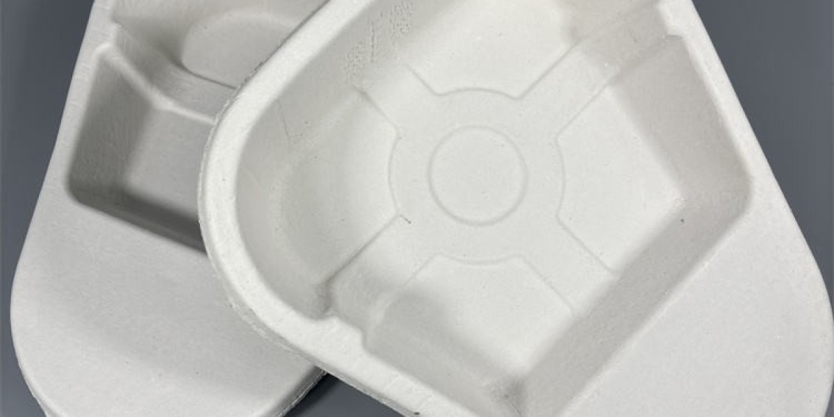 Paper Cup Lid Thermoforming Machine: Transforming Sustainable Packaging Production