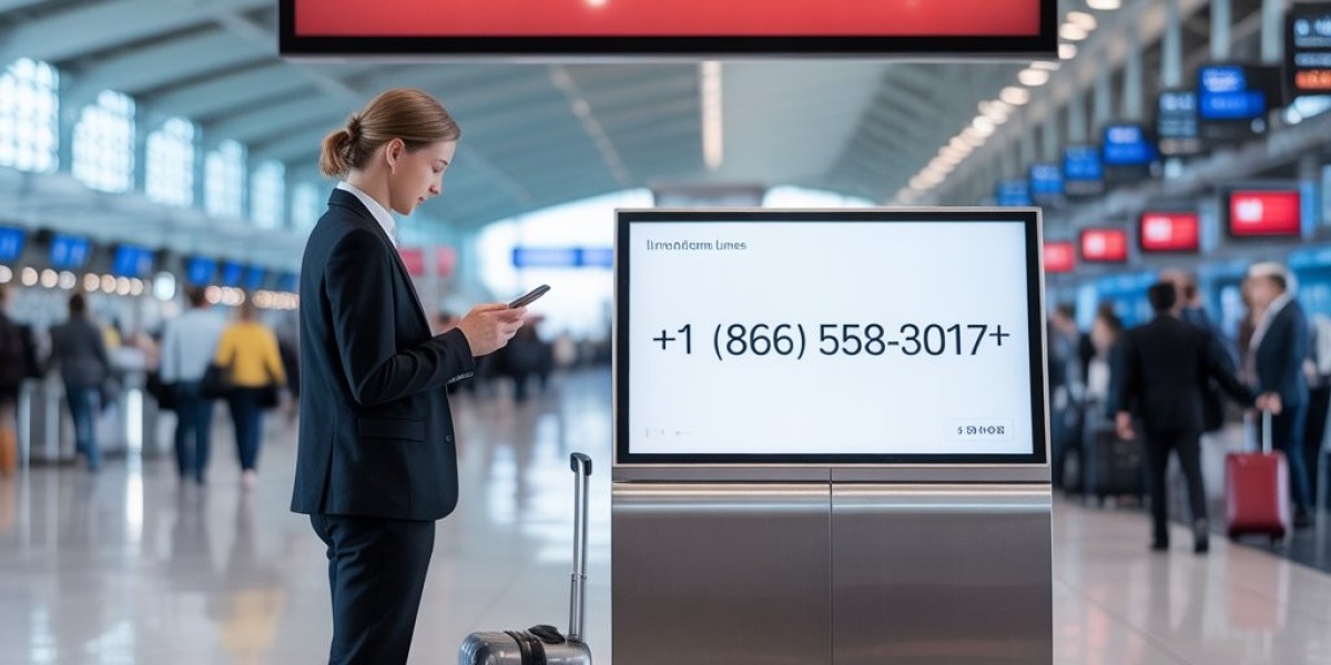 Swiss International Airlines Baggage Fees: A Complete Guide