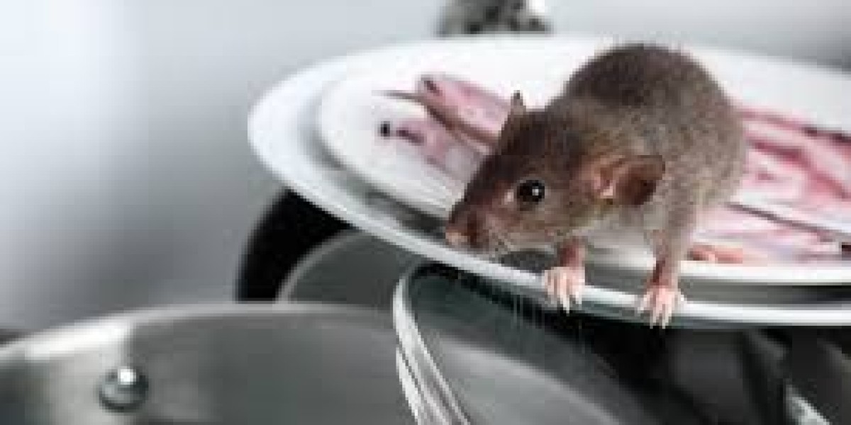 My Pest Pros: Reliable Solutions for a Pest-Free Home