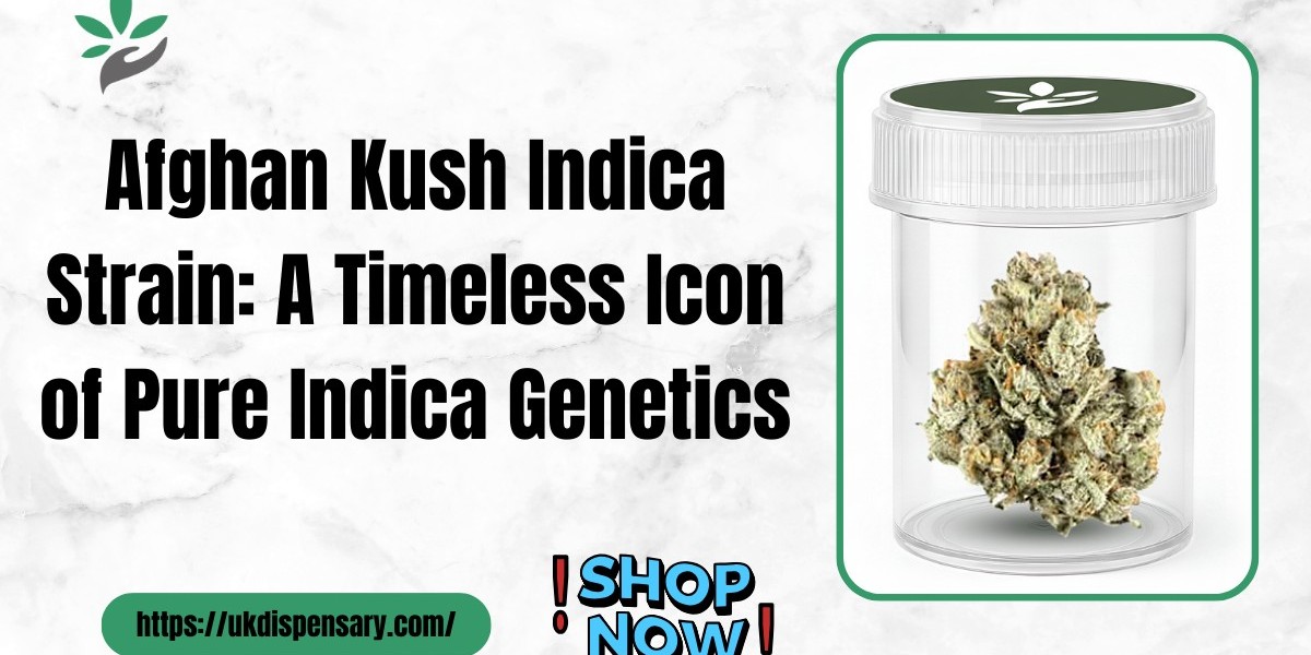 Afghan Kush Indica Strain | Classic Indica Genetics Explained